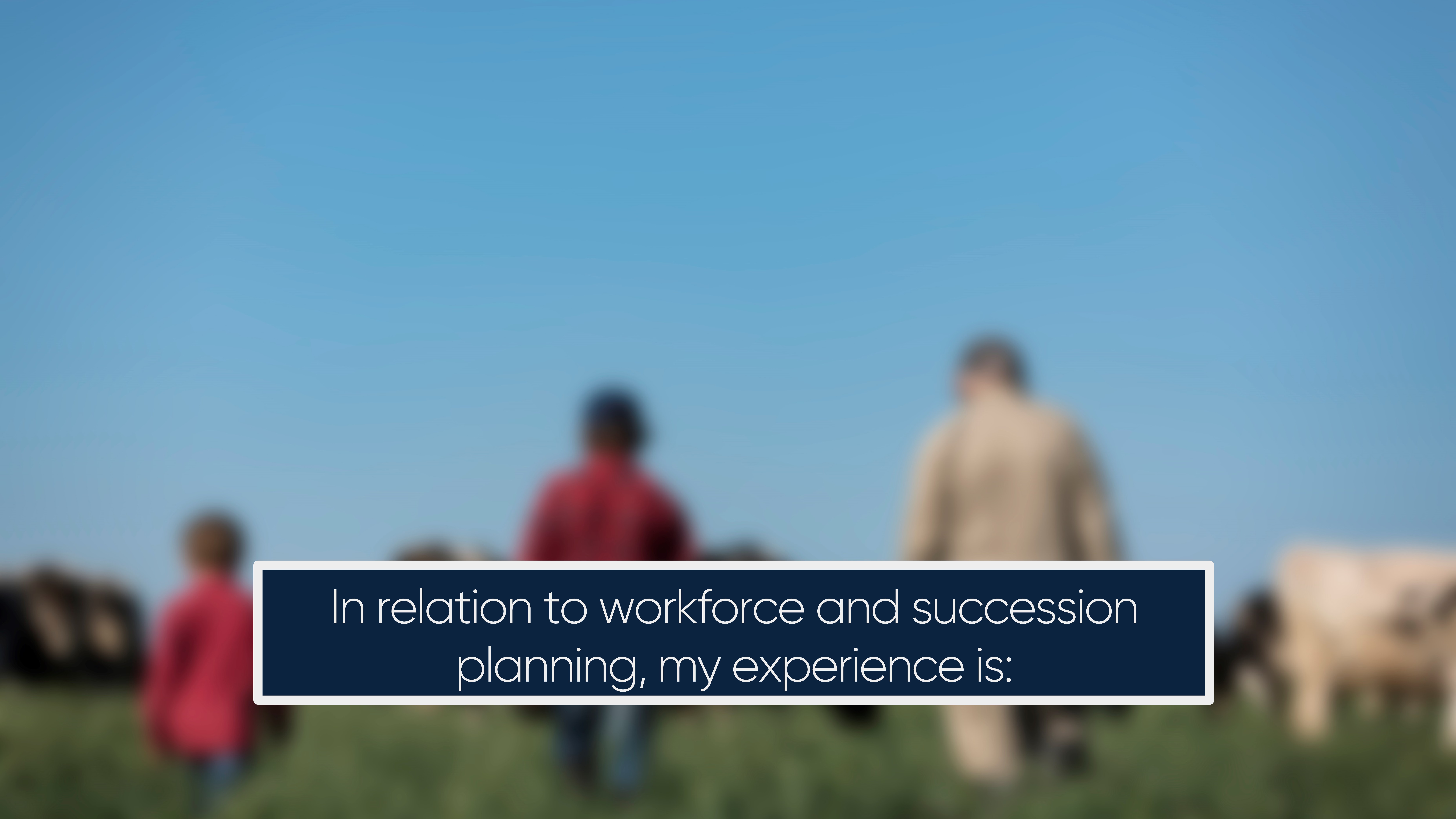 In relation to workforce and succession planning, my experience is: