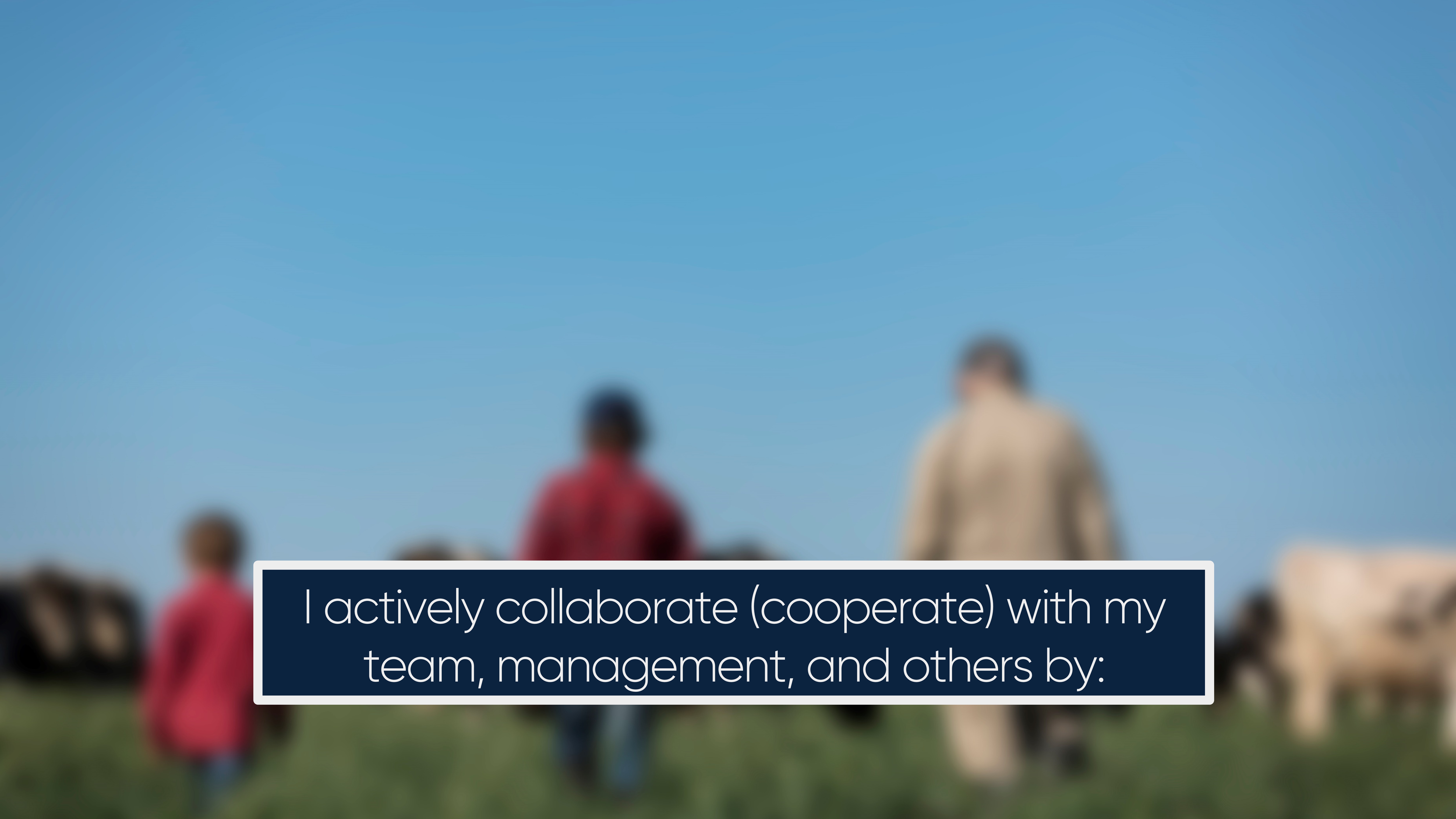 I actively collaborate (cooperate) with my team, management, and others by: